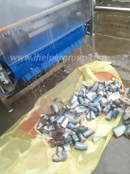 customizable fish cutting machine customizable fish cutting machine